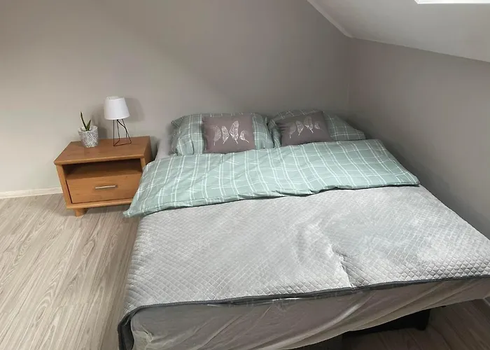 Maciejowka Appartement *